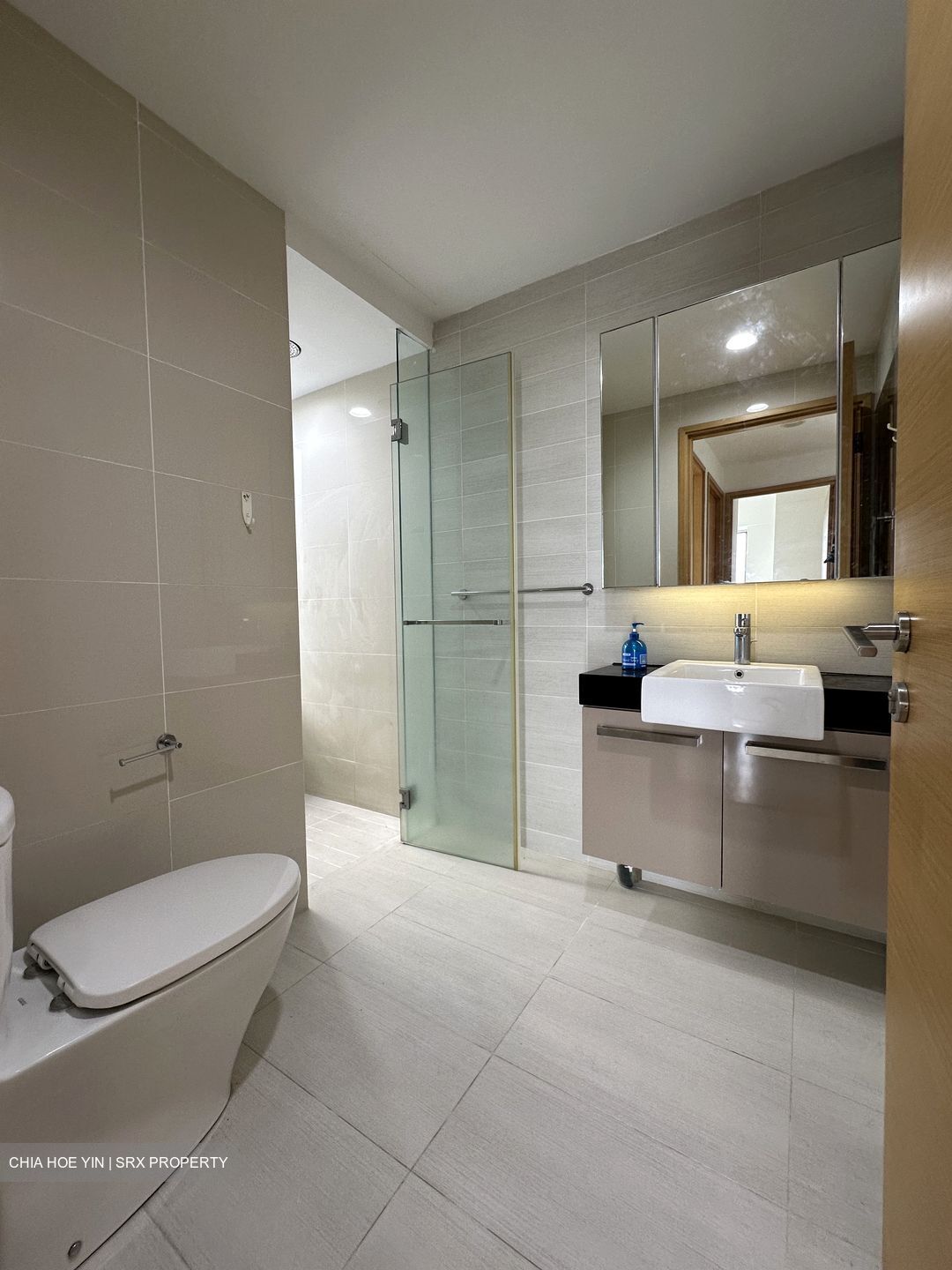 Cityscape @ Farrer Park (D8), Condominium #477693081